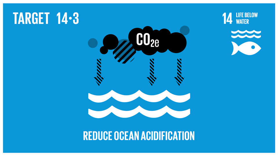 sdg-14