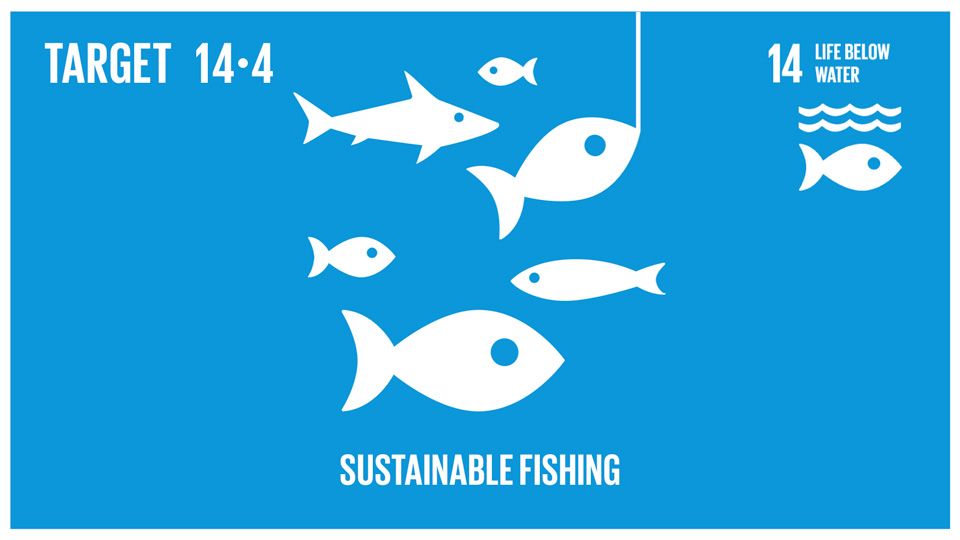 sdg-14