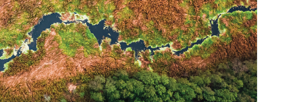 ecosystem, water, forests