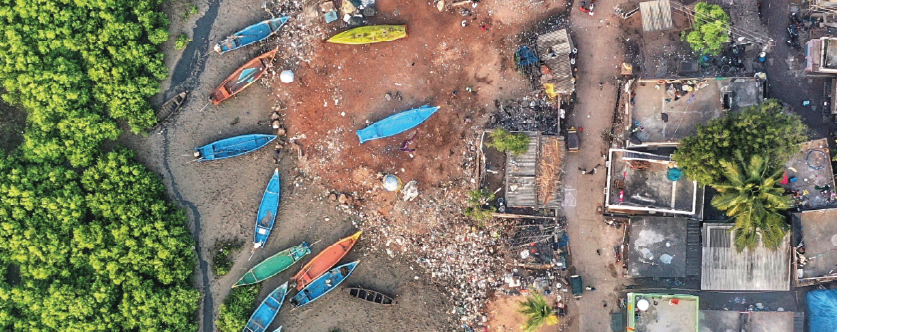 ecosystems, social, urban