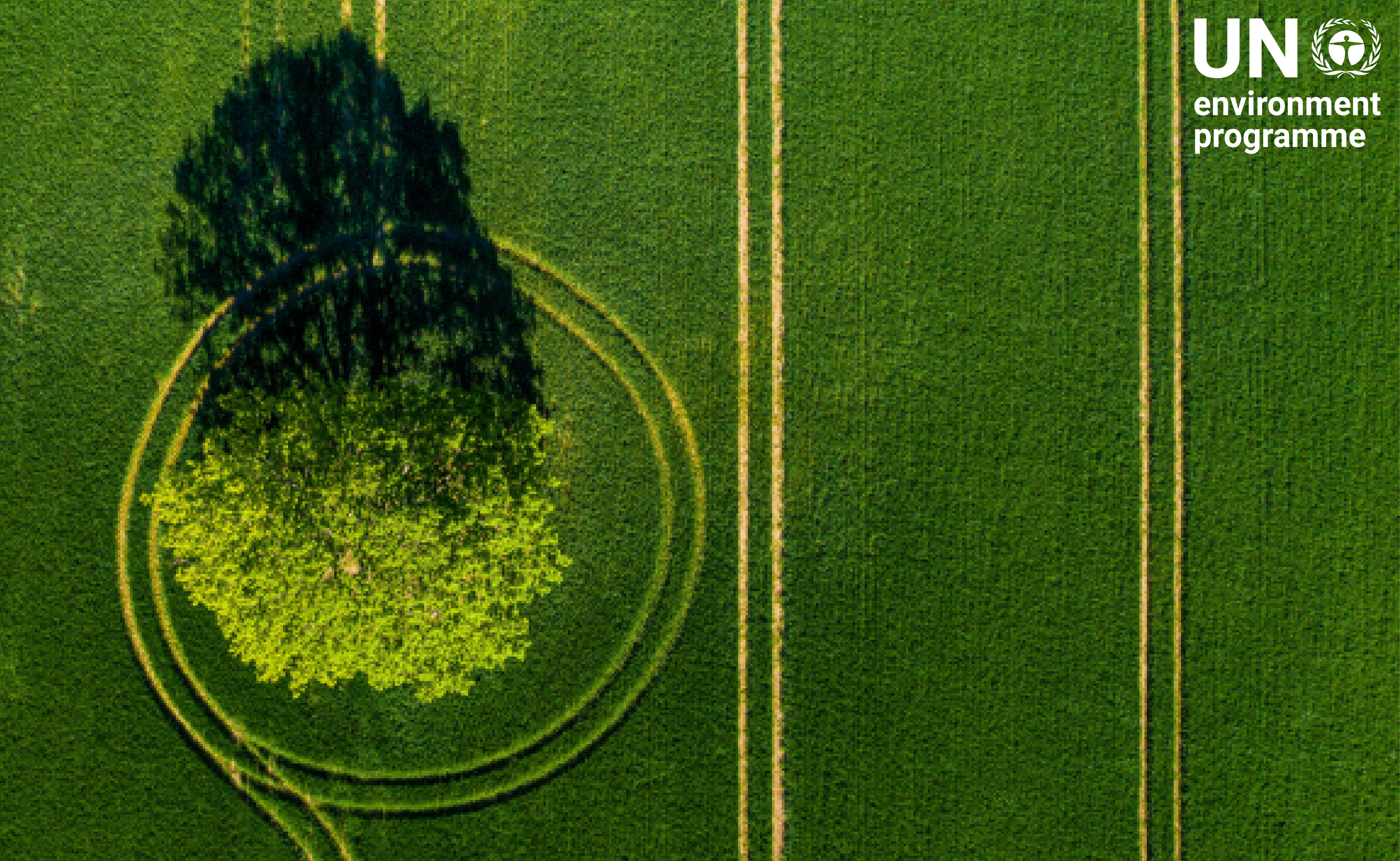 tree, circular, green field